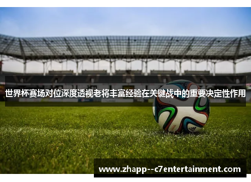 世界杯赛场对位深度透视老将丰富经验在关键战中的重要决定性作用