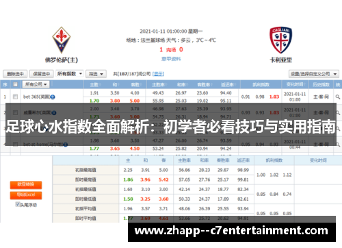 足球心水指数全面解析:初学者必看技巧与实用指南 足球心水指数全面解析:初学者必看技巧与实用指南