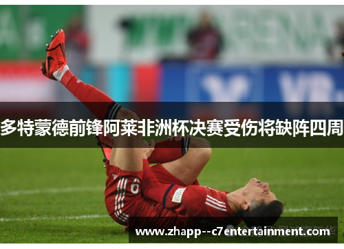 多特蒙德前锋阿莱非洲杯决赛受伤将缺阵四周
