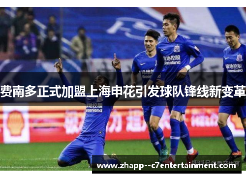 费南多正式加盟上海申花引发球队锋线新变革 费南多正式加盟上海申花引发球队锋线新变革